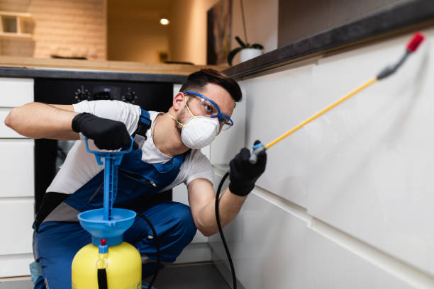 Best Ant Control Services  in Elmwood Place, OH