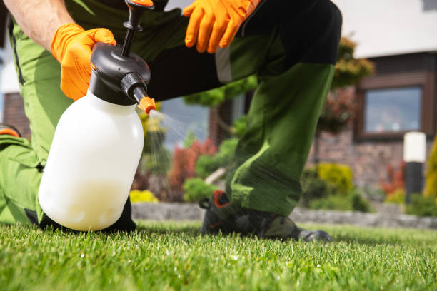 Best Affordable Pest Control Services  in Elmwood Place, OH