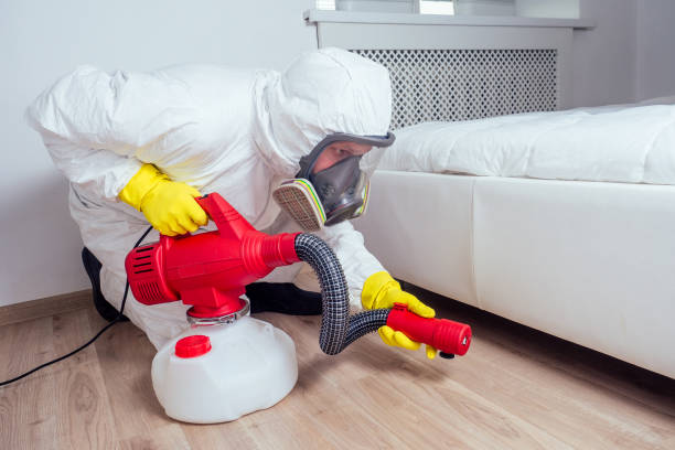 Flea Control Services in Elmwood Place, OH