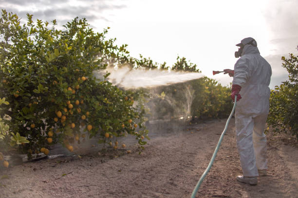 Best Pest Prevention Services  in Elmwood Place, OH