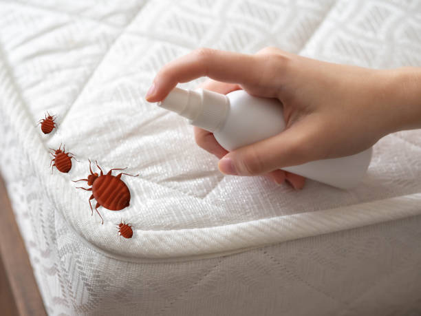 Best Exterminator Services  in Elmwood Place, OH