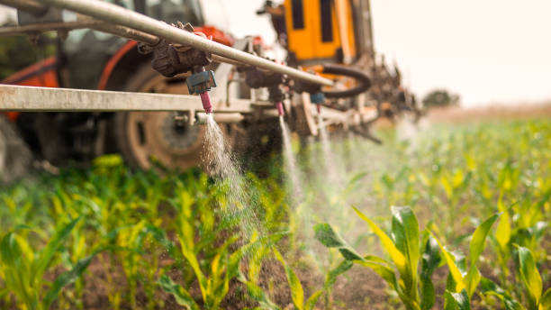 Best Pest Control for Homes  in Elmwood Place, OH